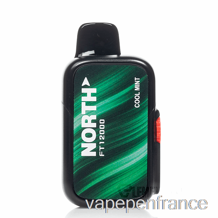 Stylo Vape Jetable à La Menthe Fraîche North Ft12000